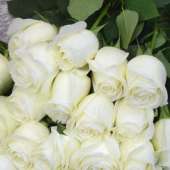 75 белая роза Проуд 100 см